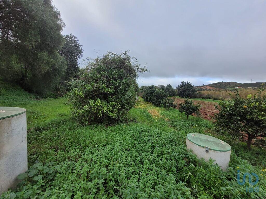 Land in Silves - view 1