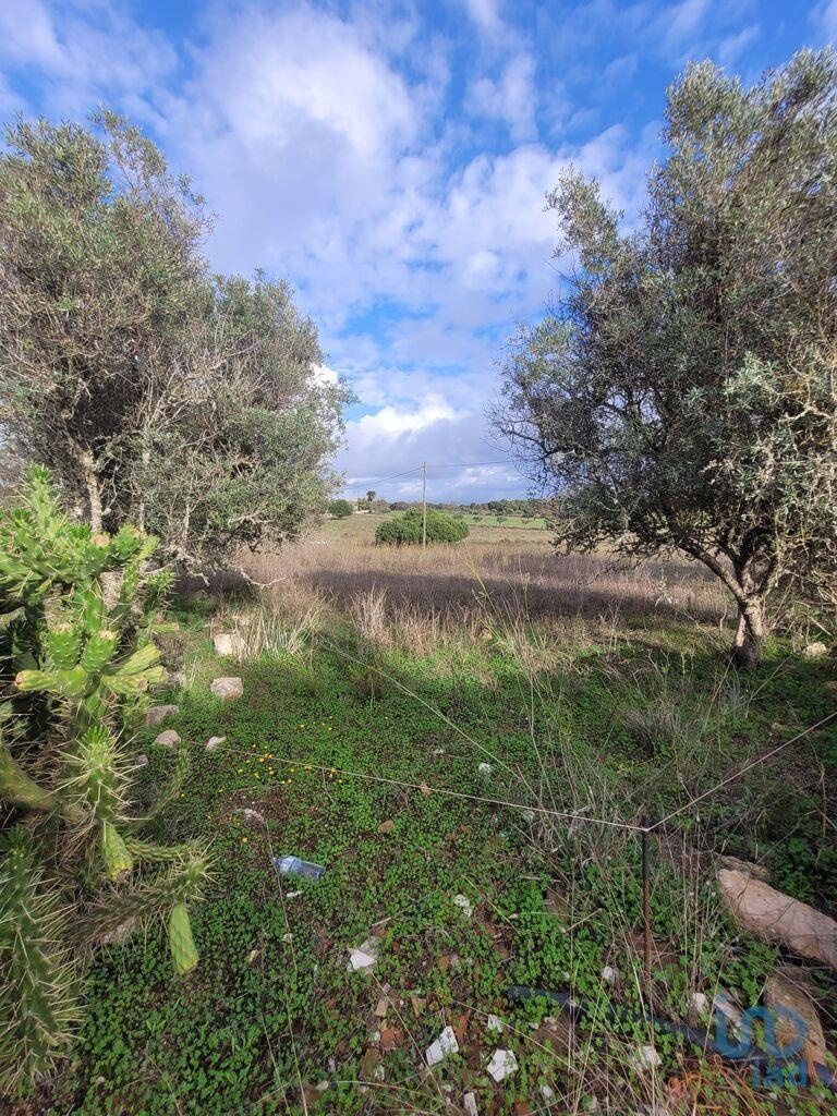 Land in Lagoa - view 1