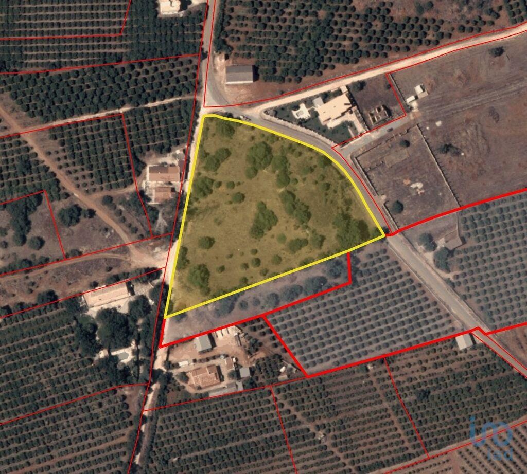 Land in Silves - view 1