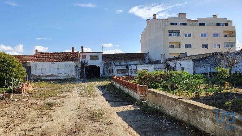 Land in Montijo - view 1