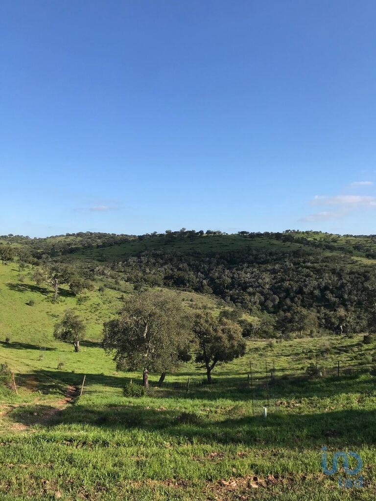 Land in Moura - view 1