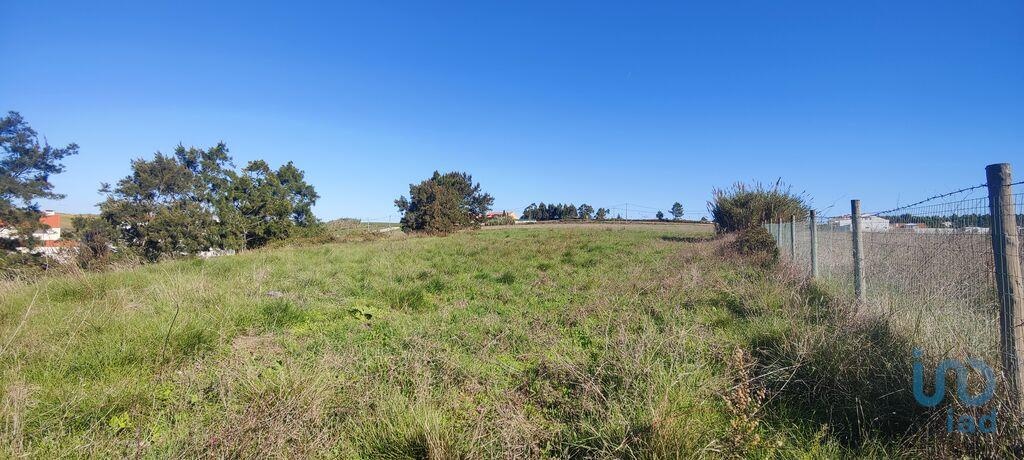 Land in Torres Vedras - view 1