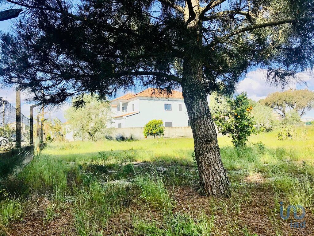 Land in Palmela - view 1