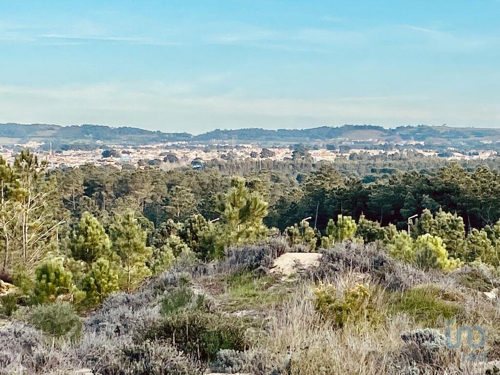 Land in Sesimbra - view 1