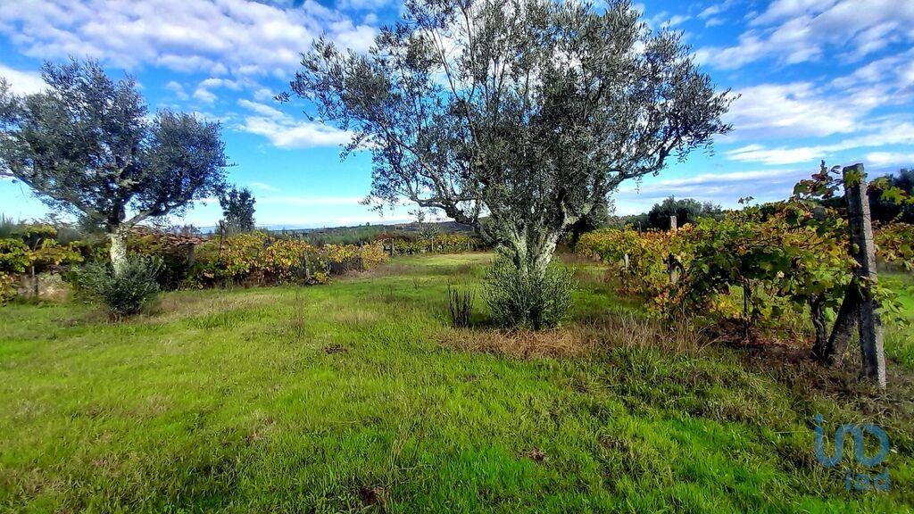 Land in Oliveira do Hospital - view 1