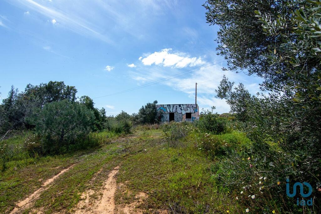 Land in Loule - view 1