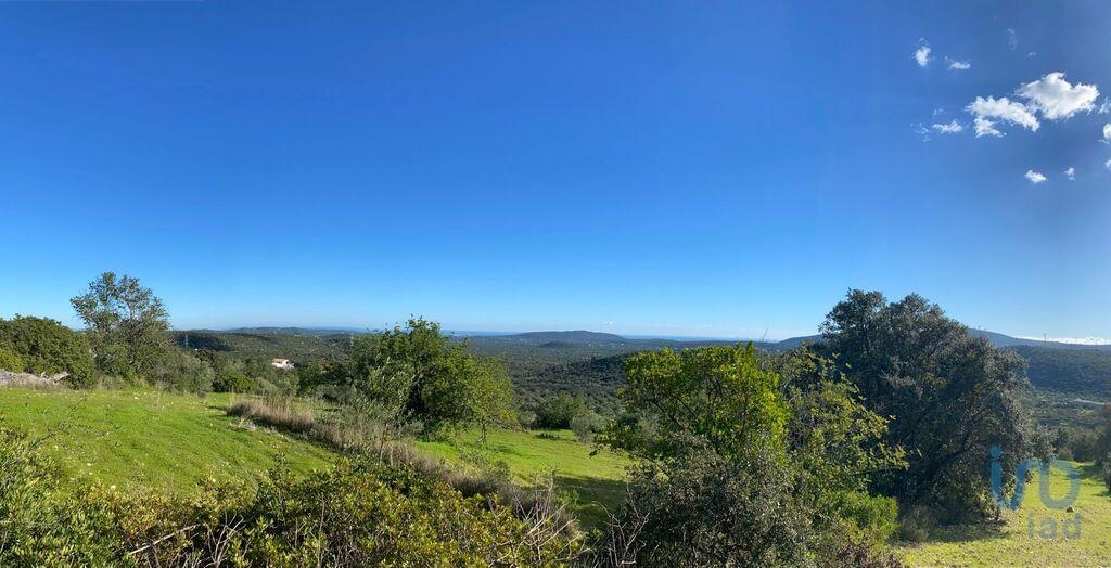Land in Sao Bras de Alportel - view 1