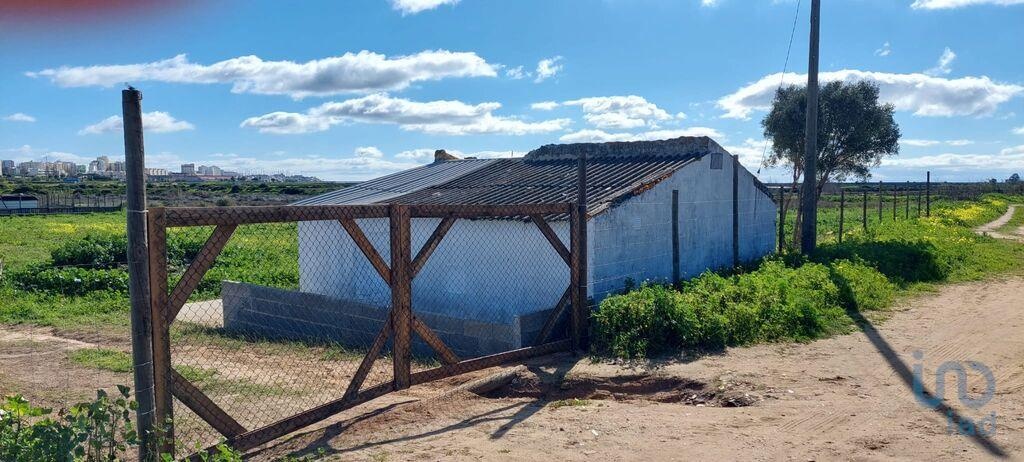 House in Faro - view 1