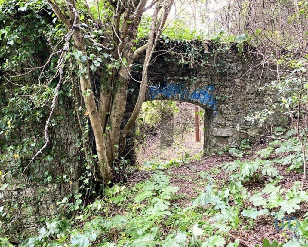 Land in Sintra - view 1