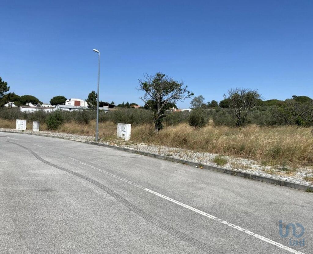 Land in Alcacer do Sal - view 1