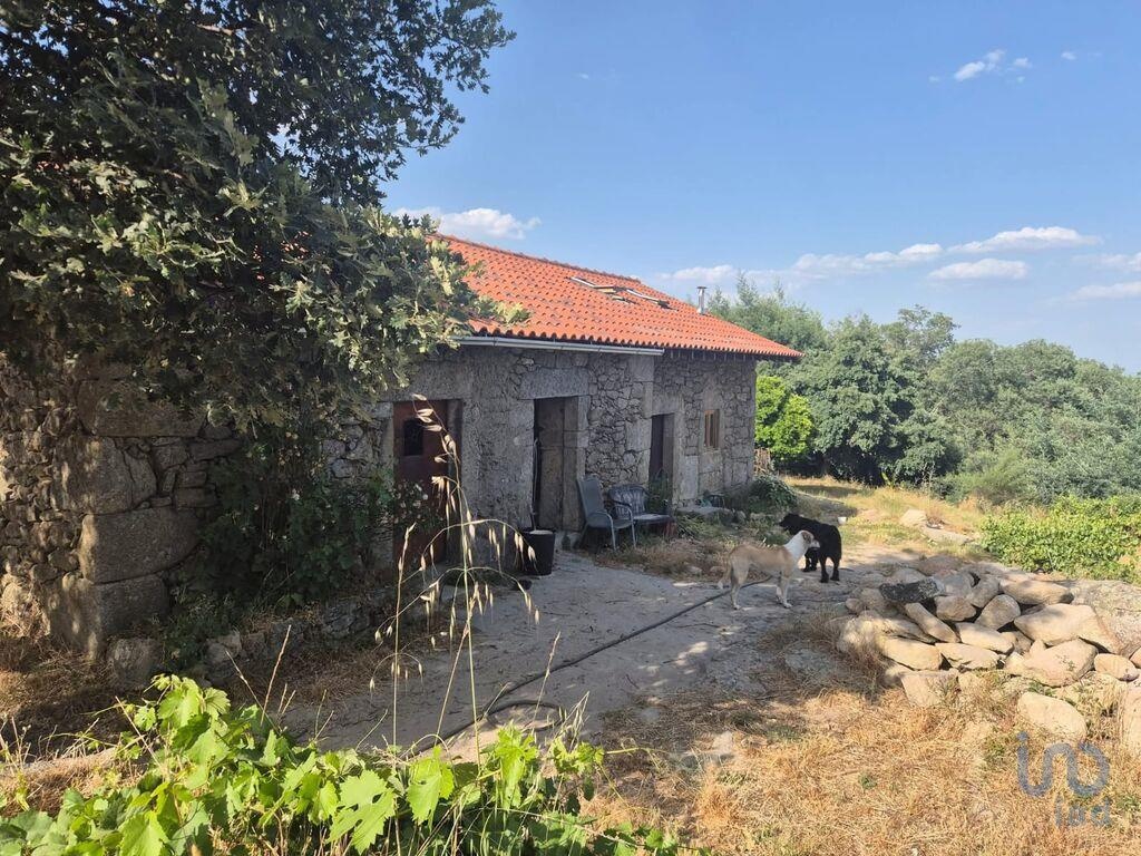 House in Fundao - view 1