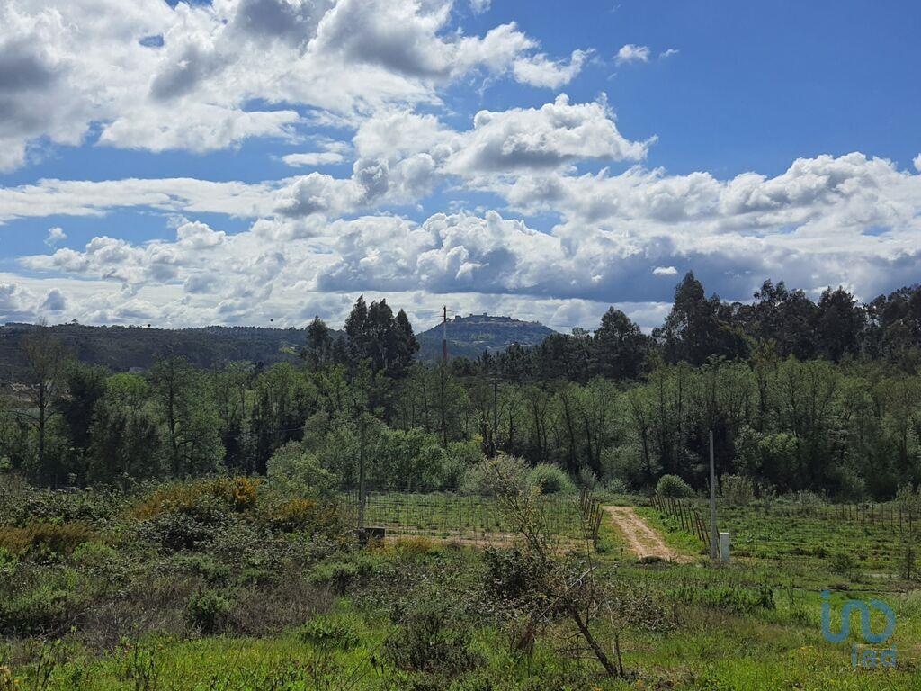 Land in Vila Nova de Ourem - view 1