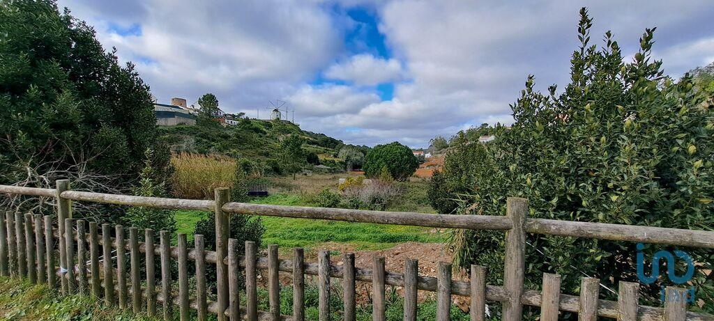 Land in Lourinha - view 1