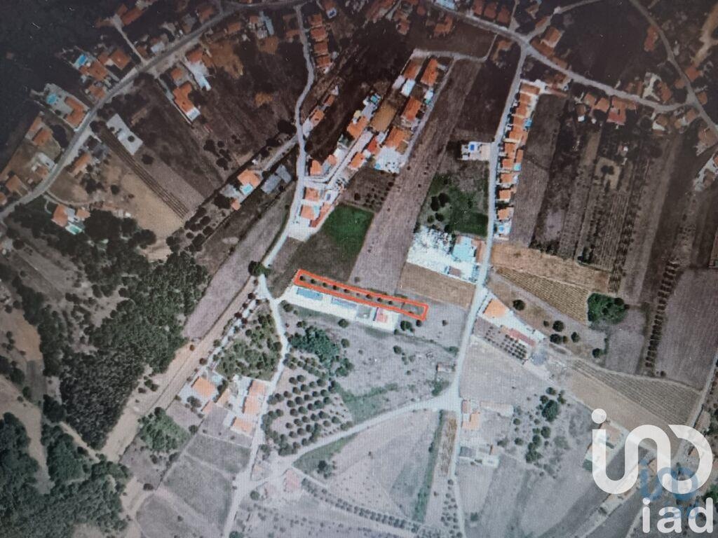 Land in Alcobaca - view 1