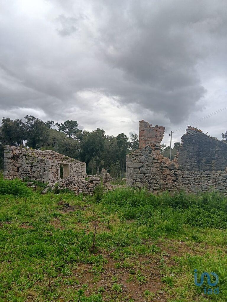 Land in Alcobaca - view 1