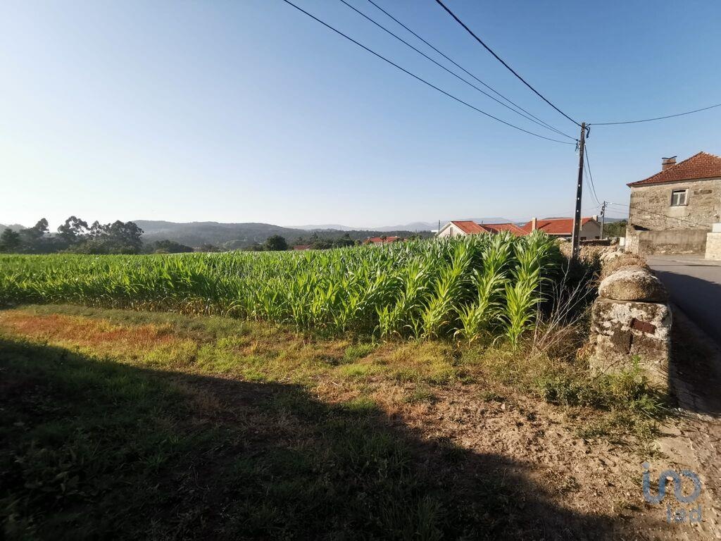 Land in Esposende - view 1