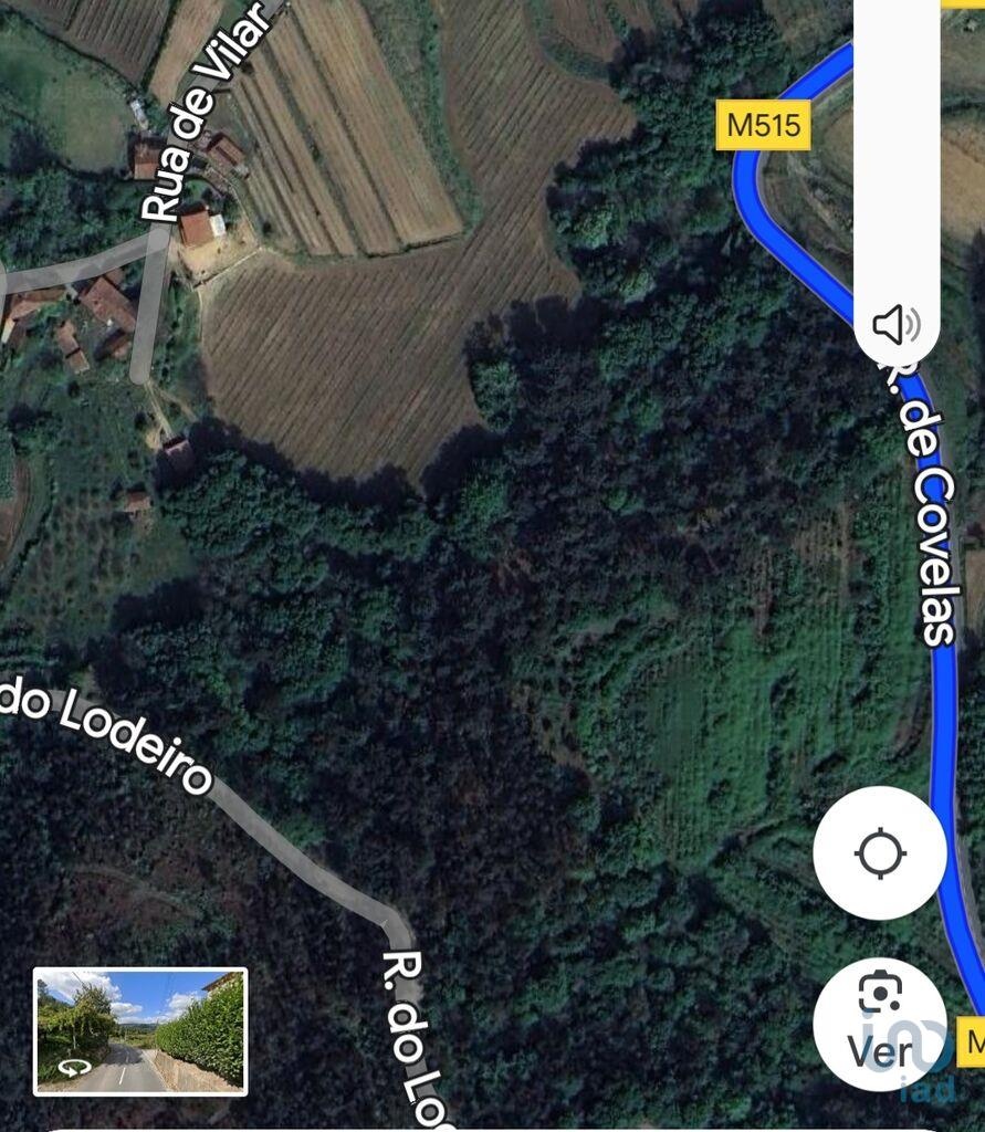 Land in Amarante - view 1