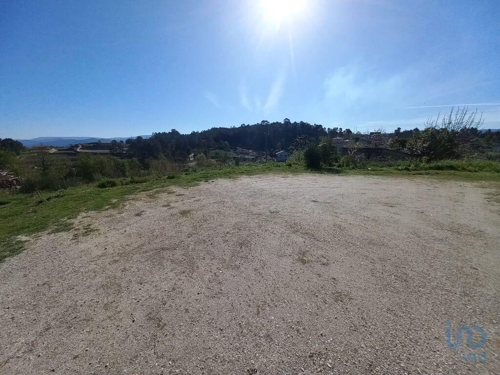 Land in Amarante - view 1