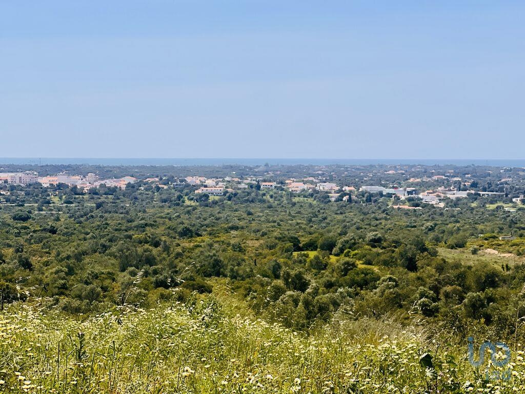 Land in Loule - view 1
