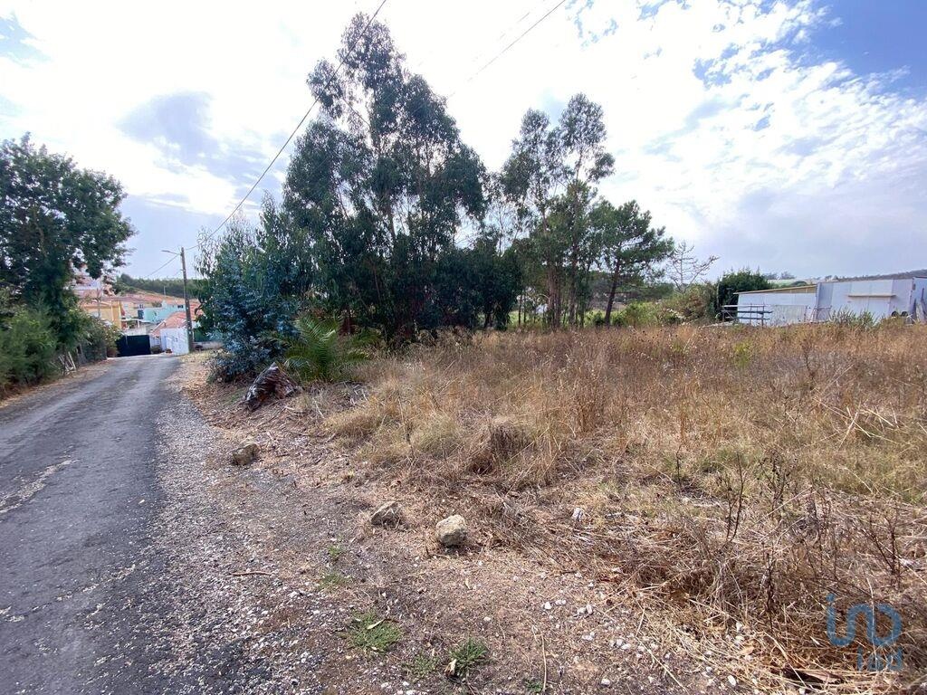 Land in Torres Vedras - view 1