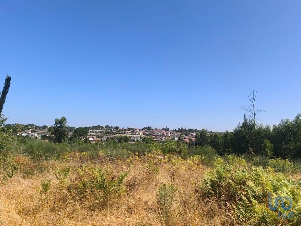 Land in Seia - view 1