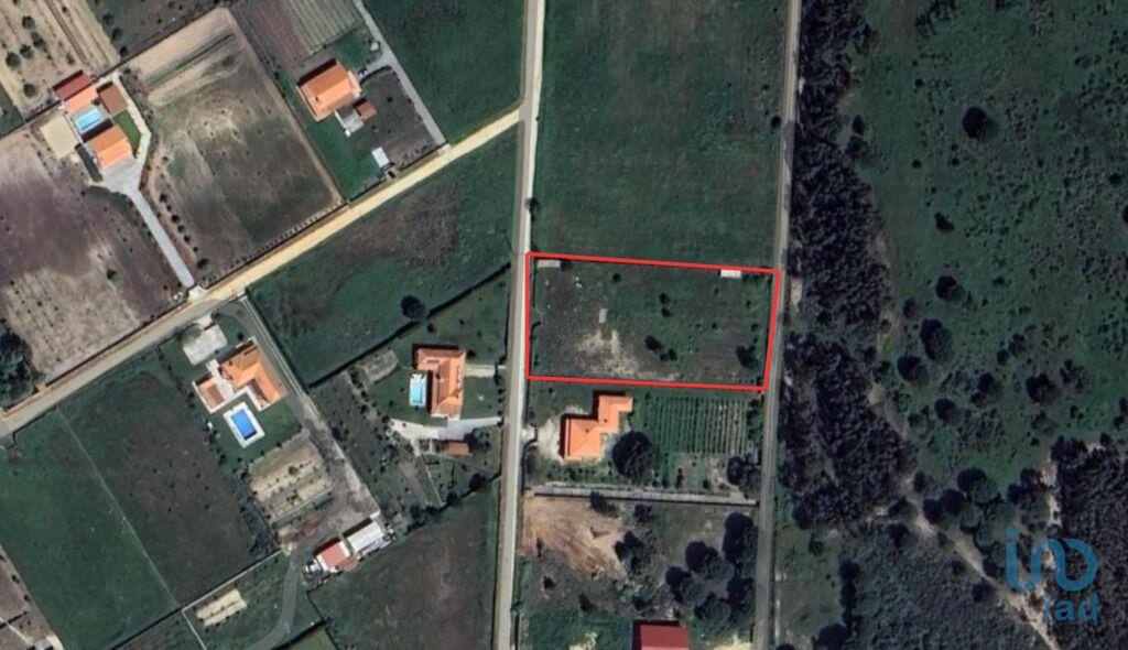 Land in Benavente - view 1