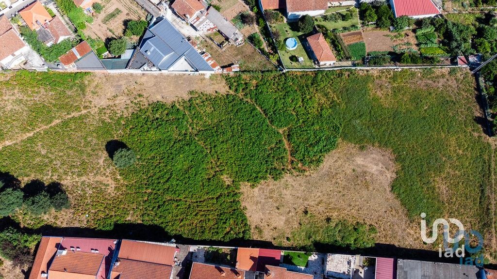 Land in Santa Maria da Feira - view 1