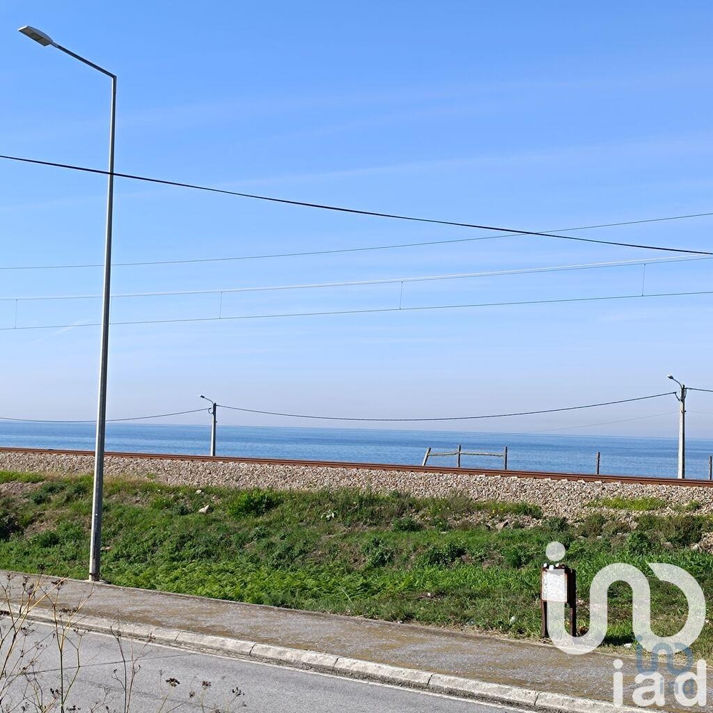Land in Caminha - view 1