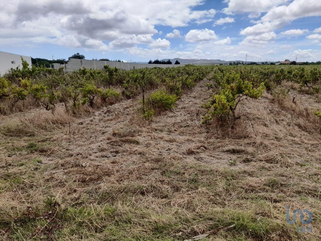 Land in Palmela - view 1