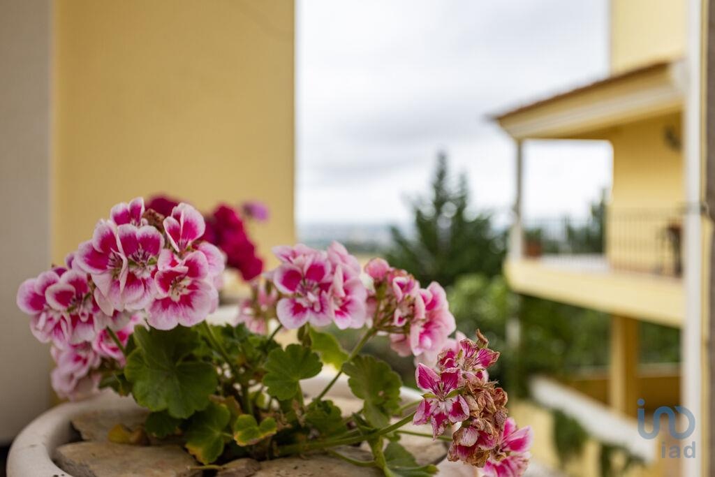 House in Palmela - view 1