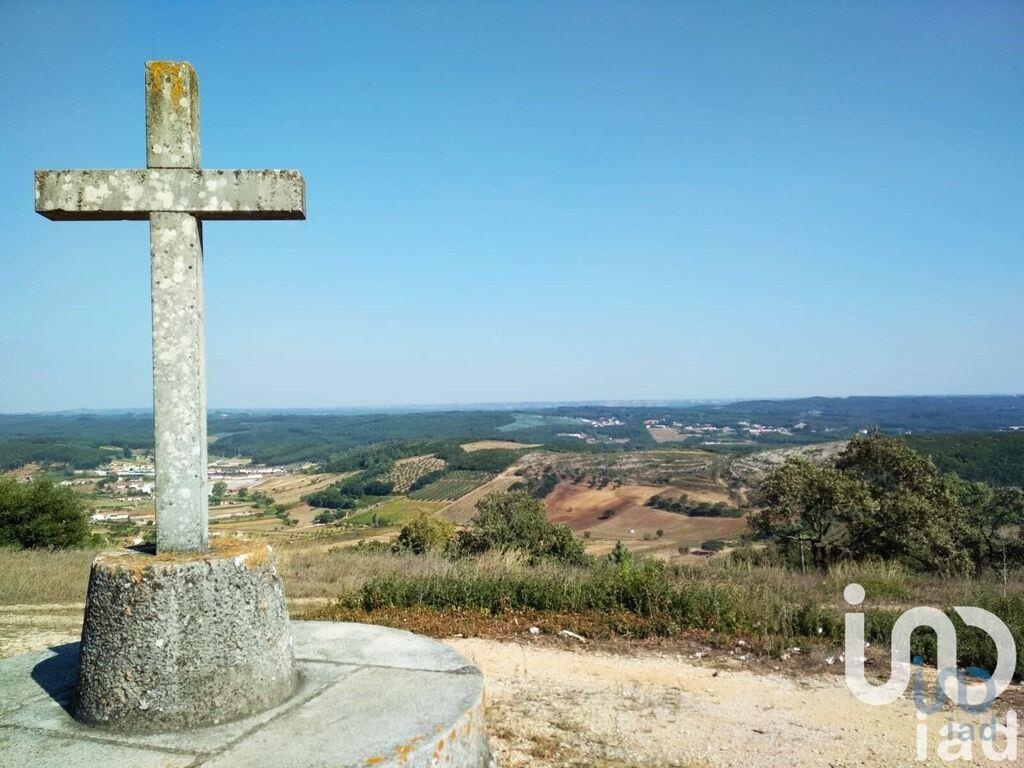 Land in Rio Maior - view 1