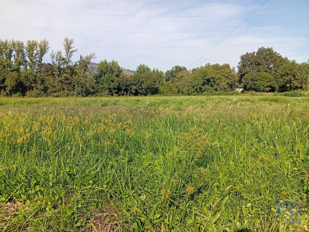 Land in Ponte de Lima - view 1