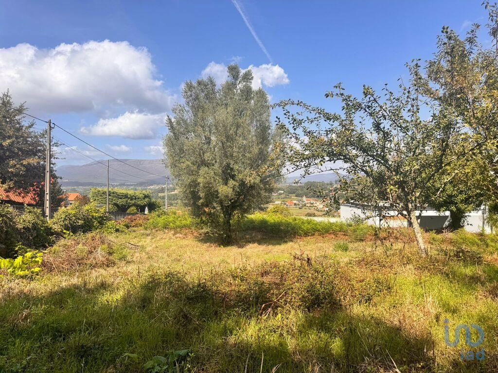 Land in Viana do Castelo - view 1