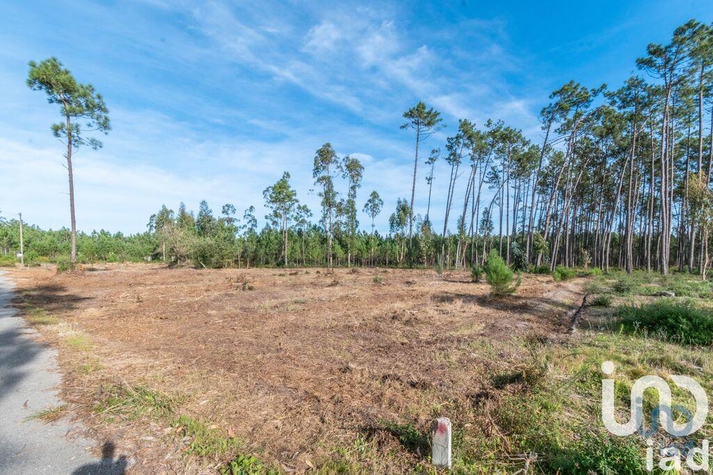Land in Monte Redondo - view 1