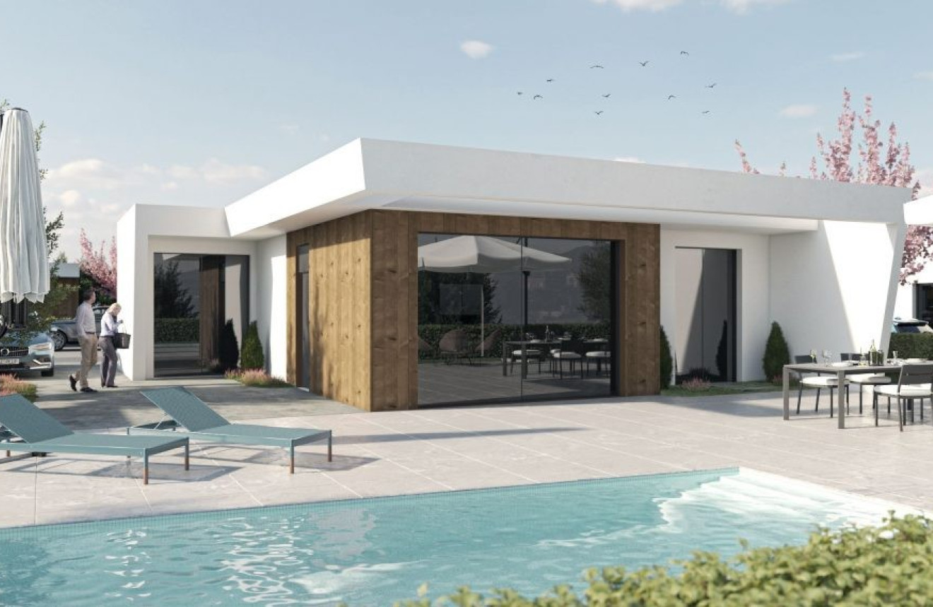 Villa in Murcia - view 1