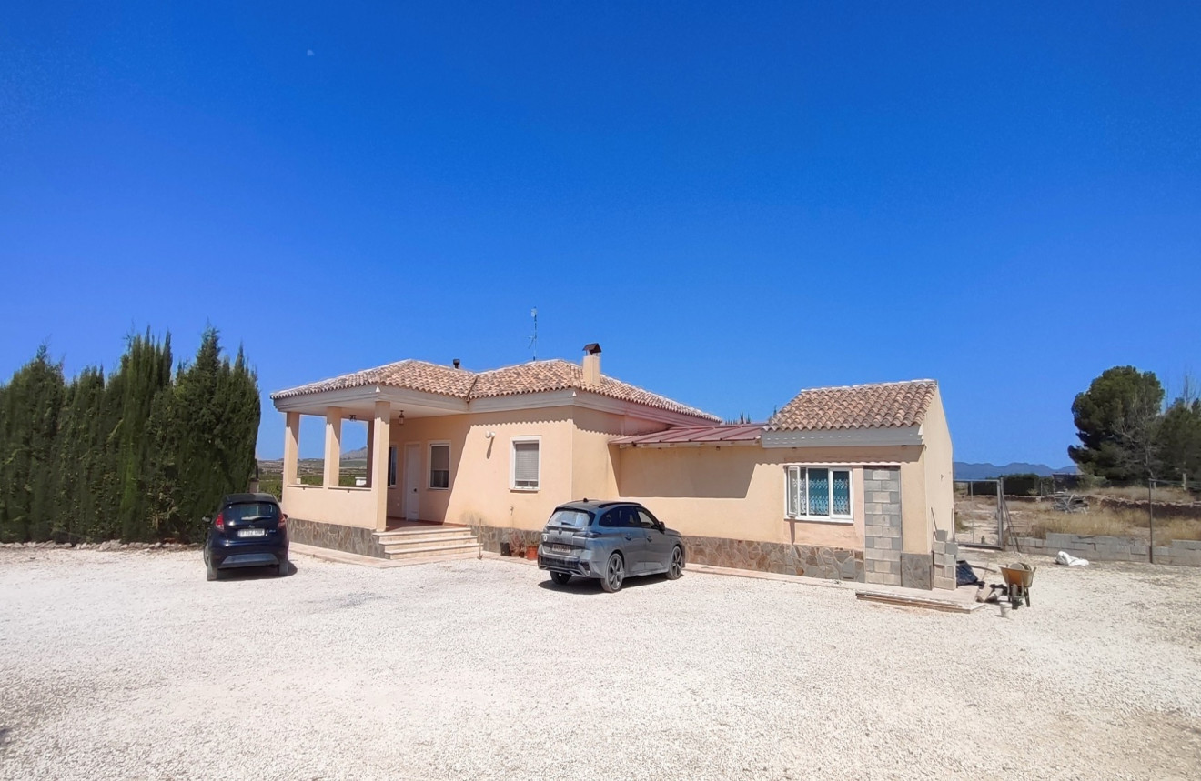Villa in Pinoso - view 1