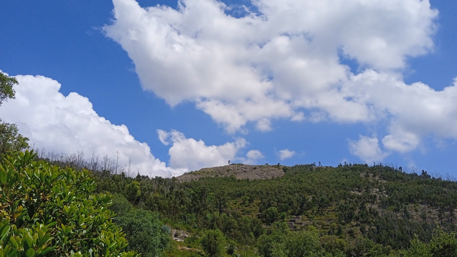 House in Monchique - view 1