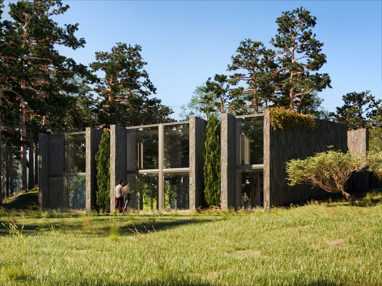 House in Tamel - view 1