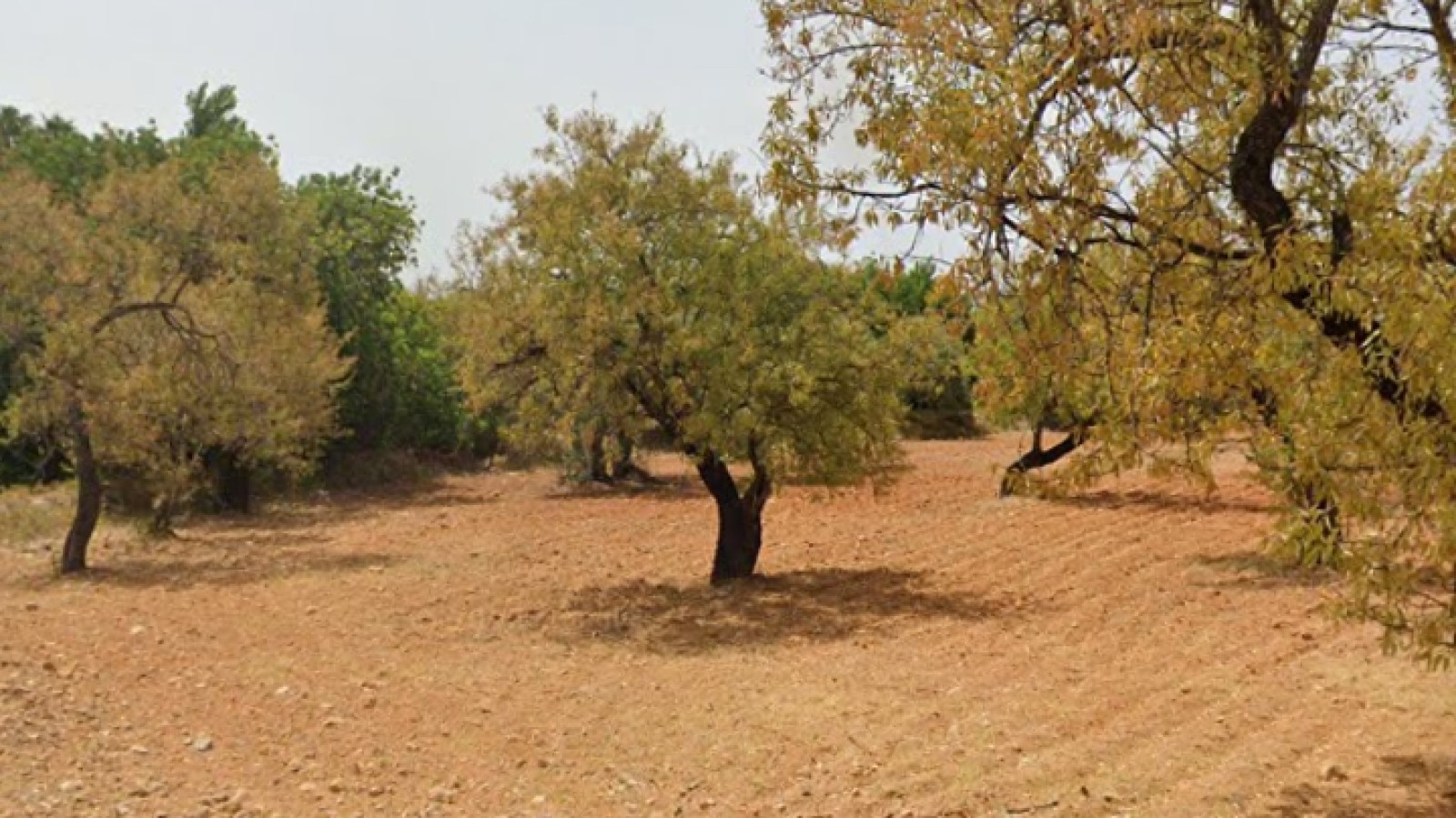 House in Faro - view 1