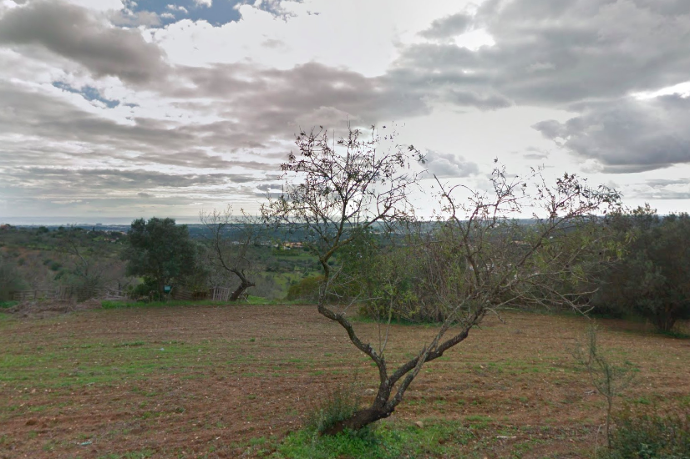 House in Fonte de Boliqueime - view 1