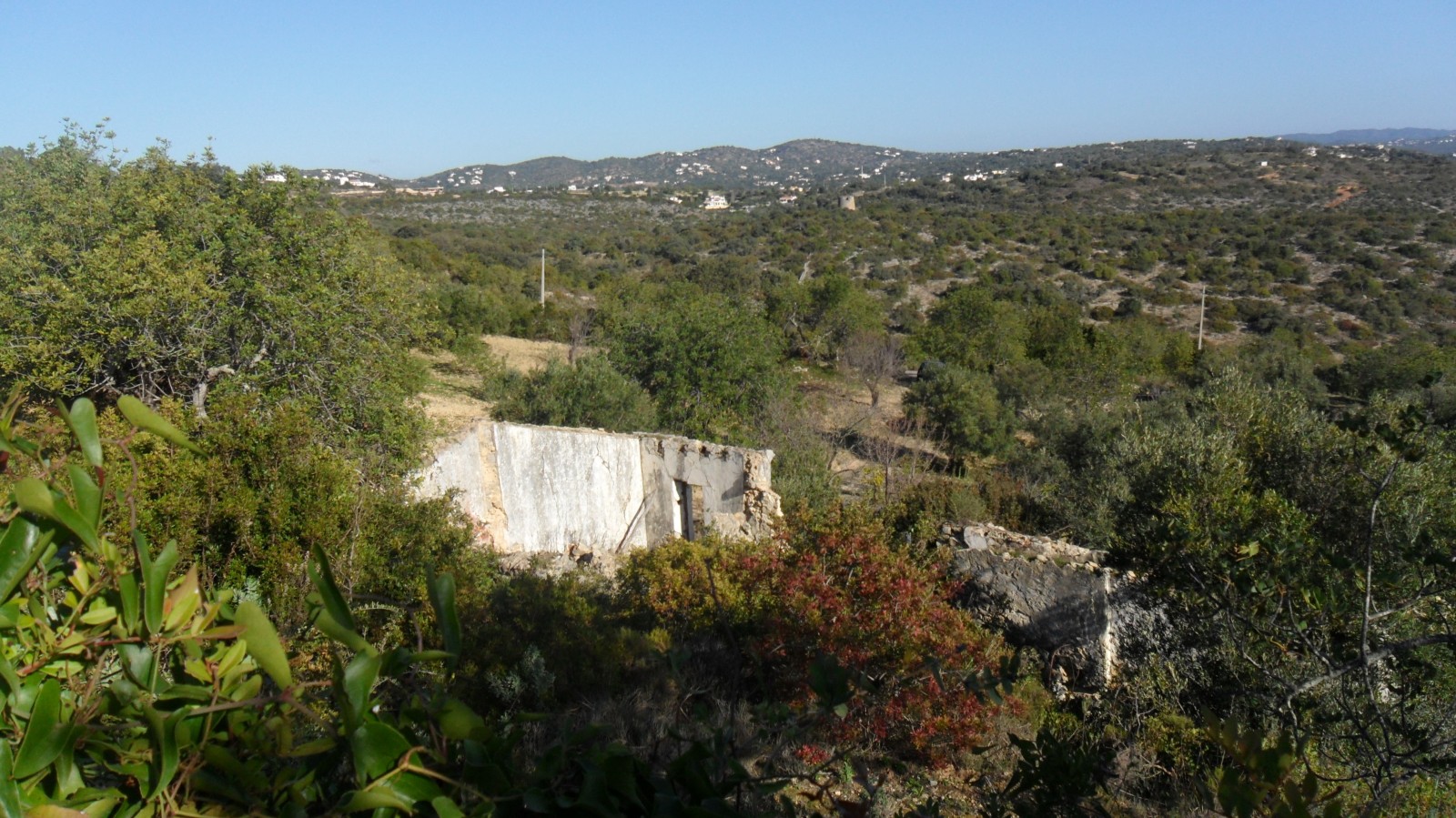House in Faro - view 1