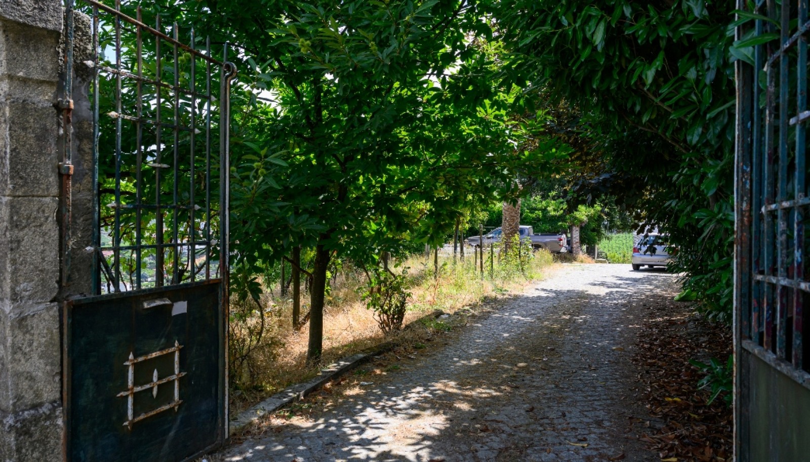 House in Santa Marta de Penaguiao - view 1