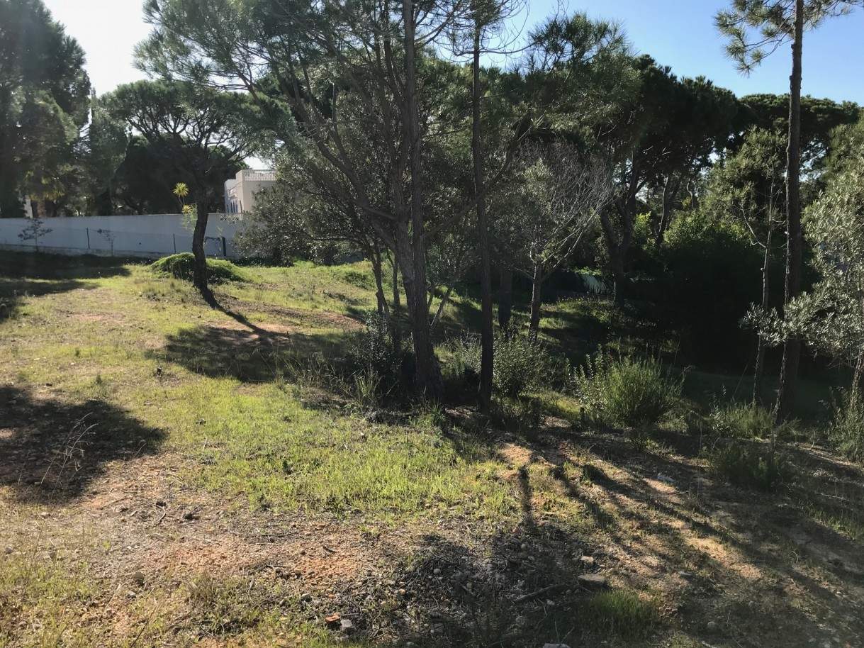 House in Almancil - view 1