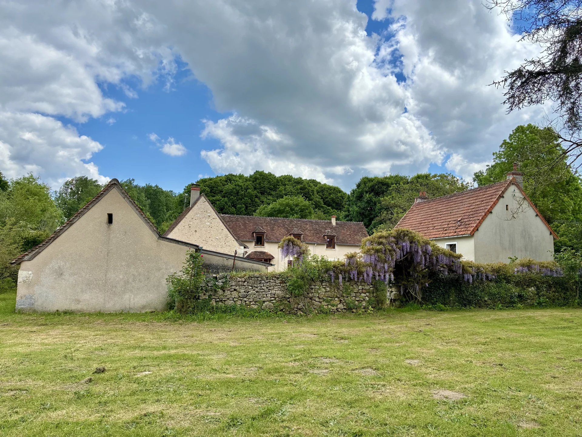 House in Le Blanc - view 1