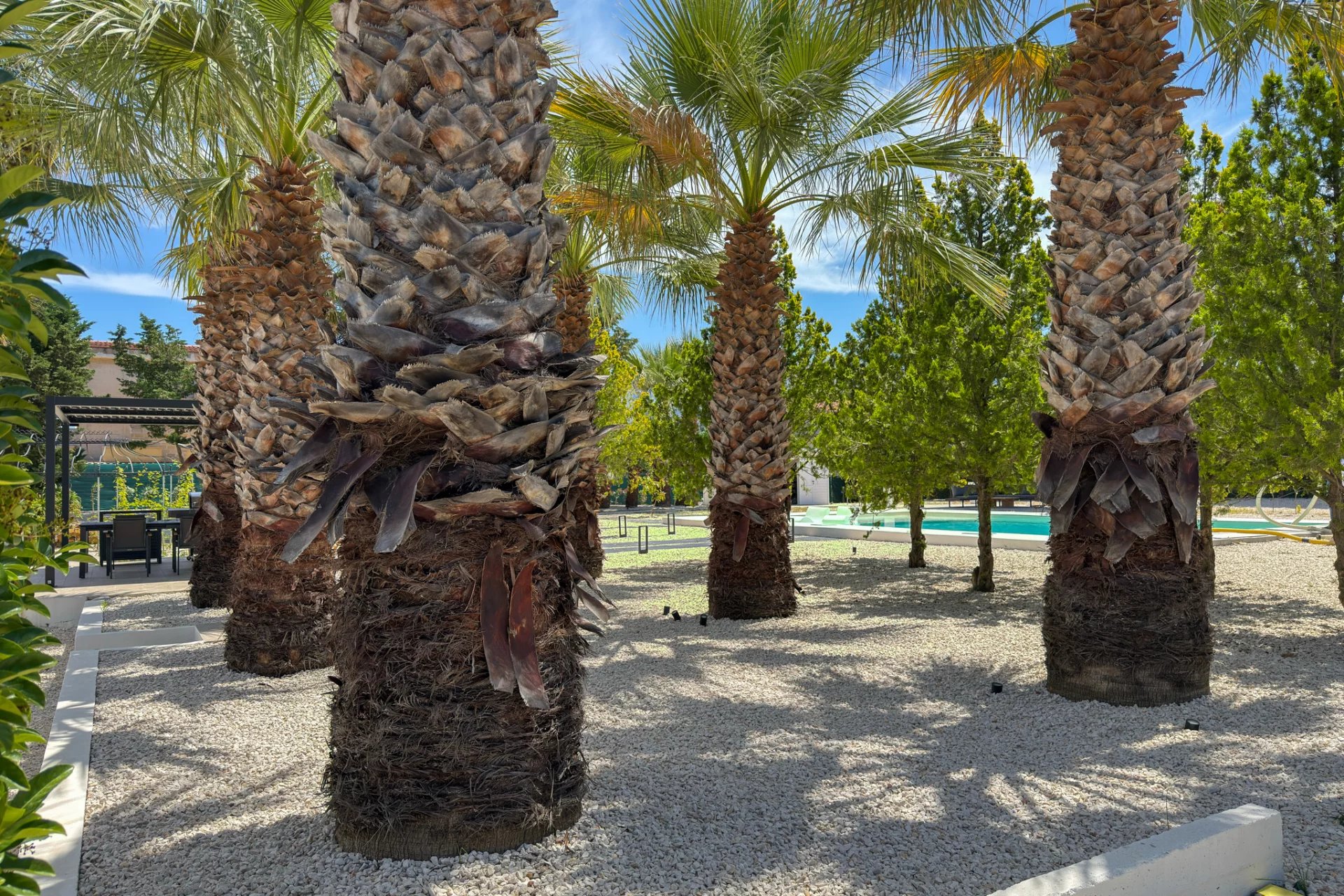 Villa in Partinico - view 1