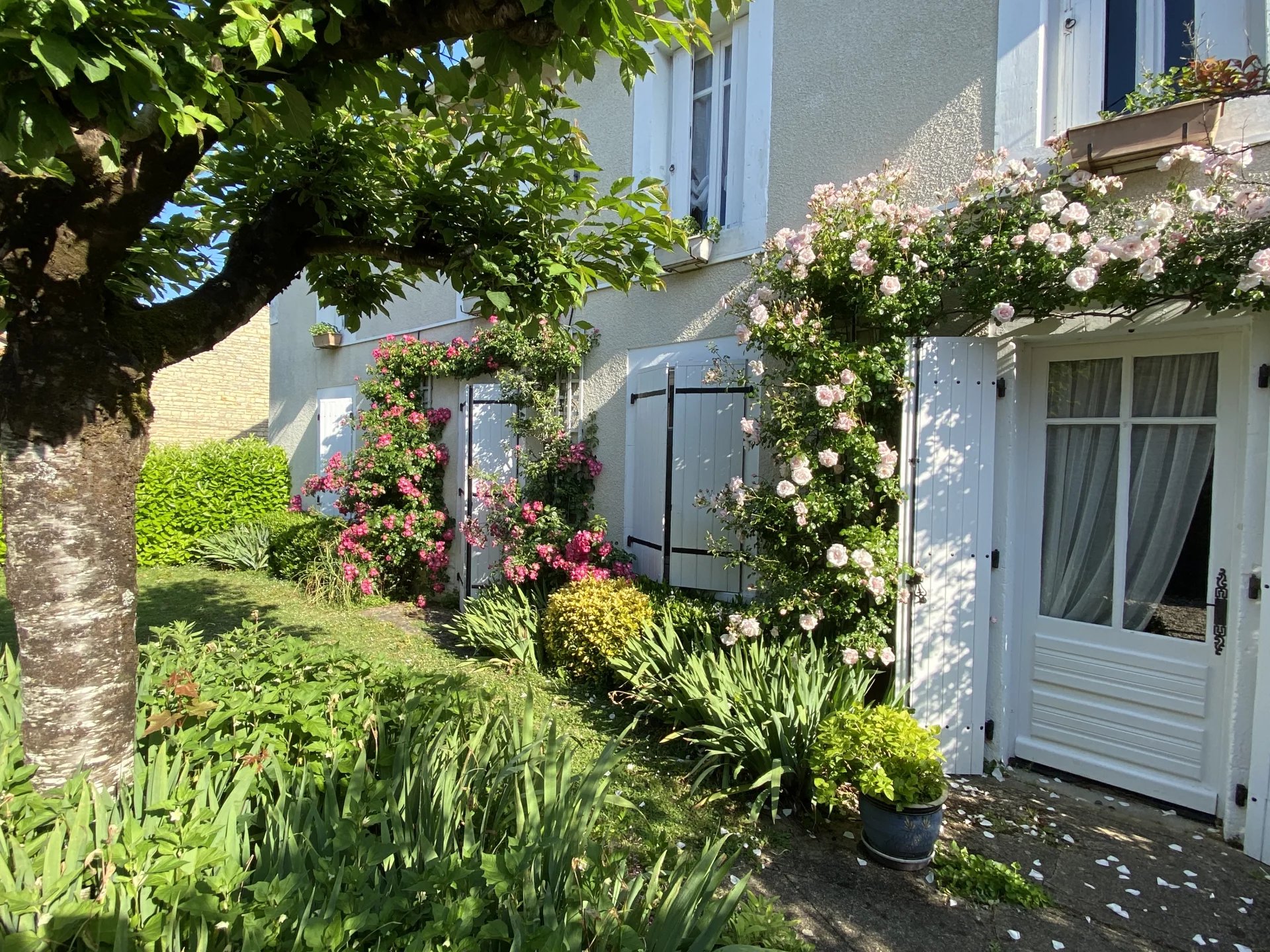 House in Longre - view 1