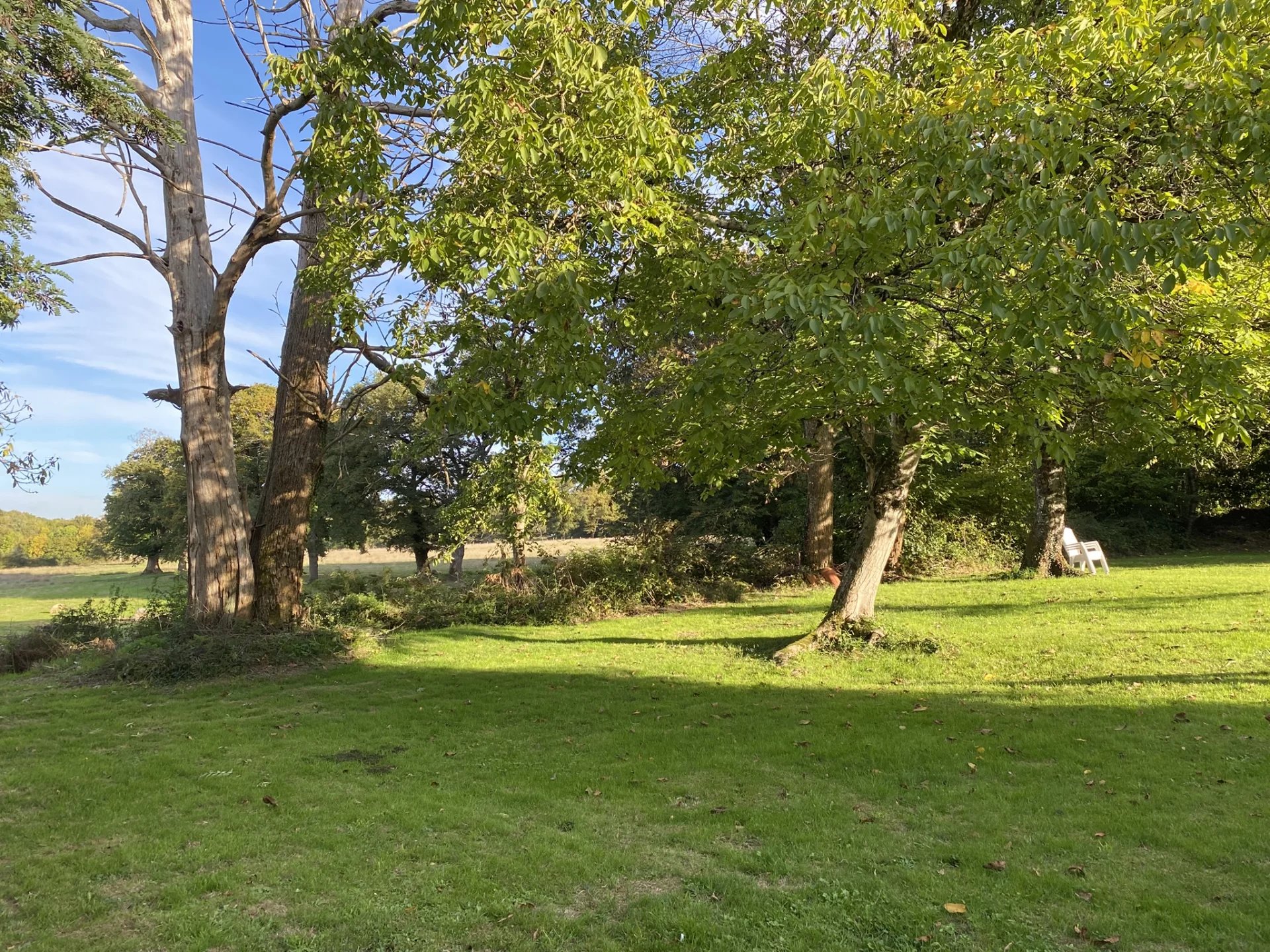 House in Bussiere-Poitevine - view 1
