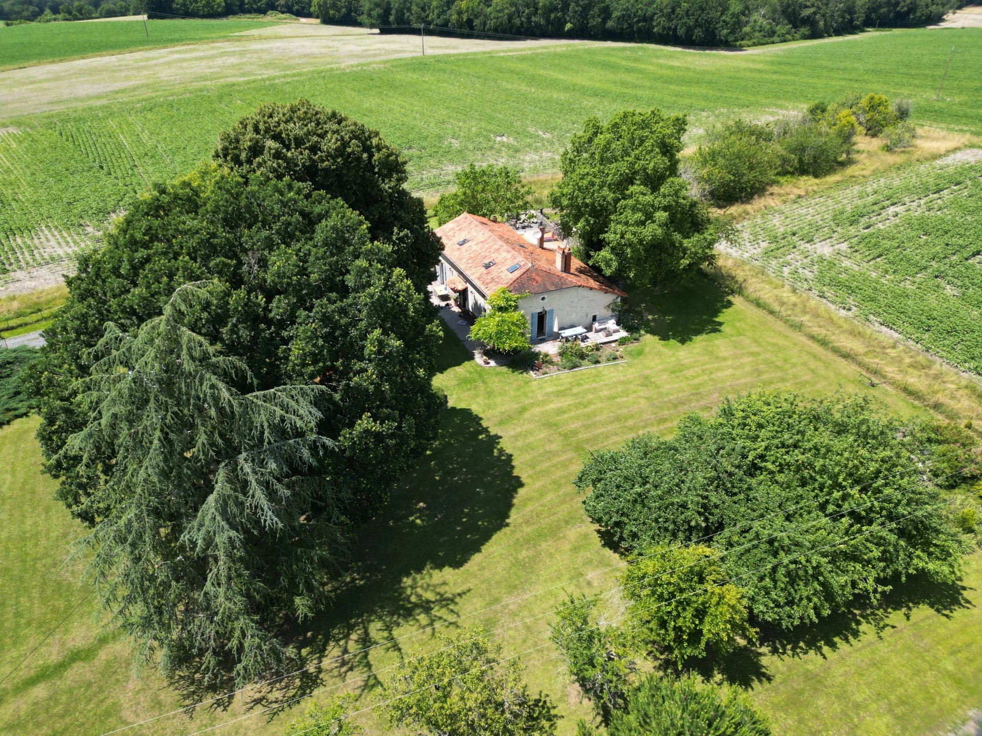 House in Aubeterre-sur-Dronne - view 1