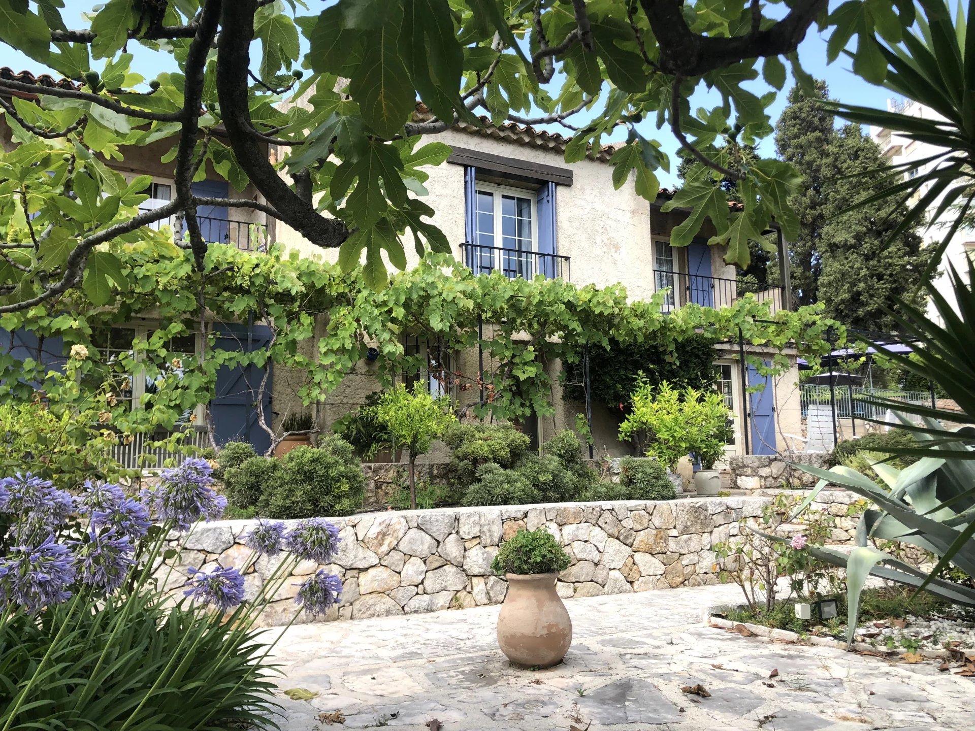 Villa in Antibes - view 1