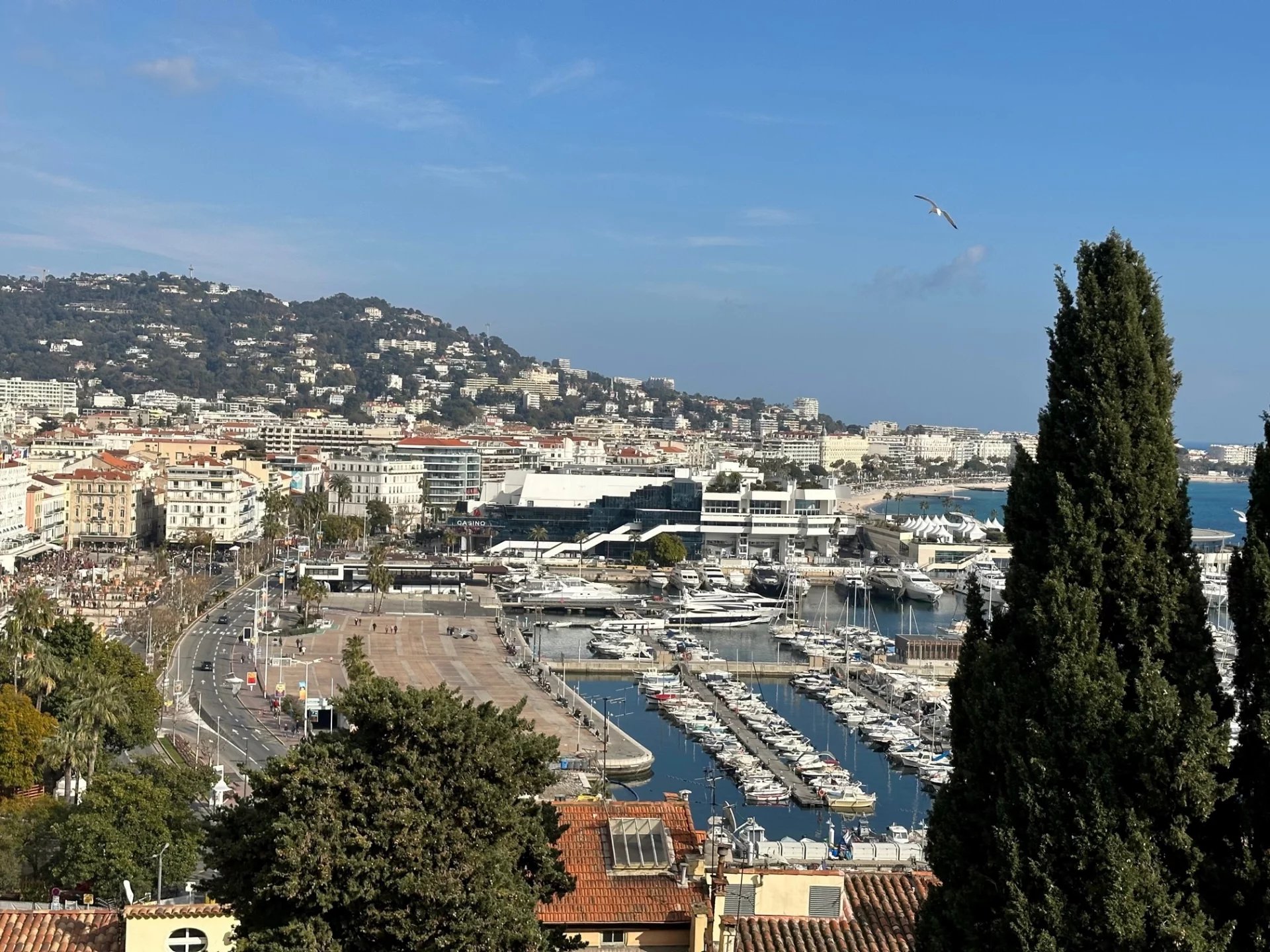 Apartment in Cannes - view 1
